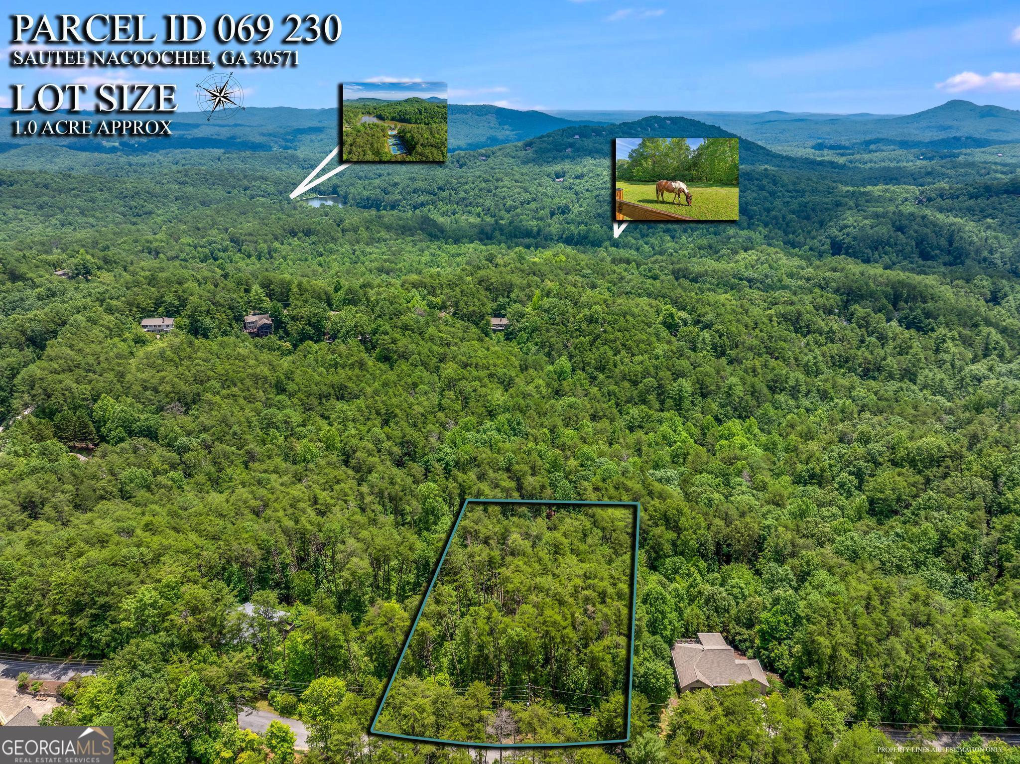 15D Woodbrier Sautee Nacoochee GA 30571