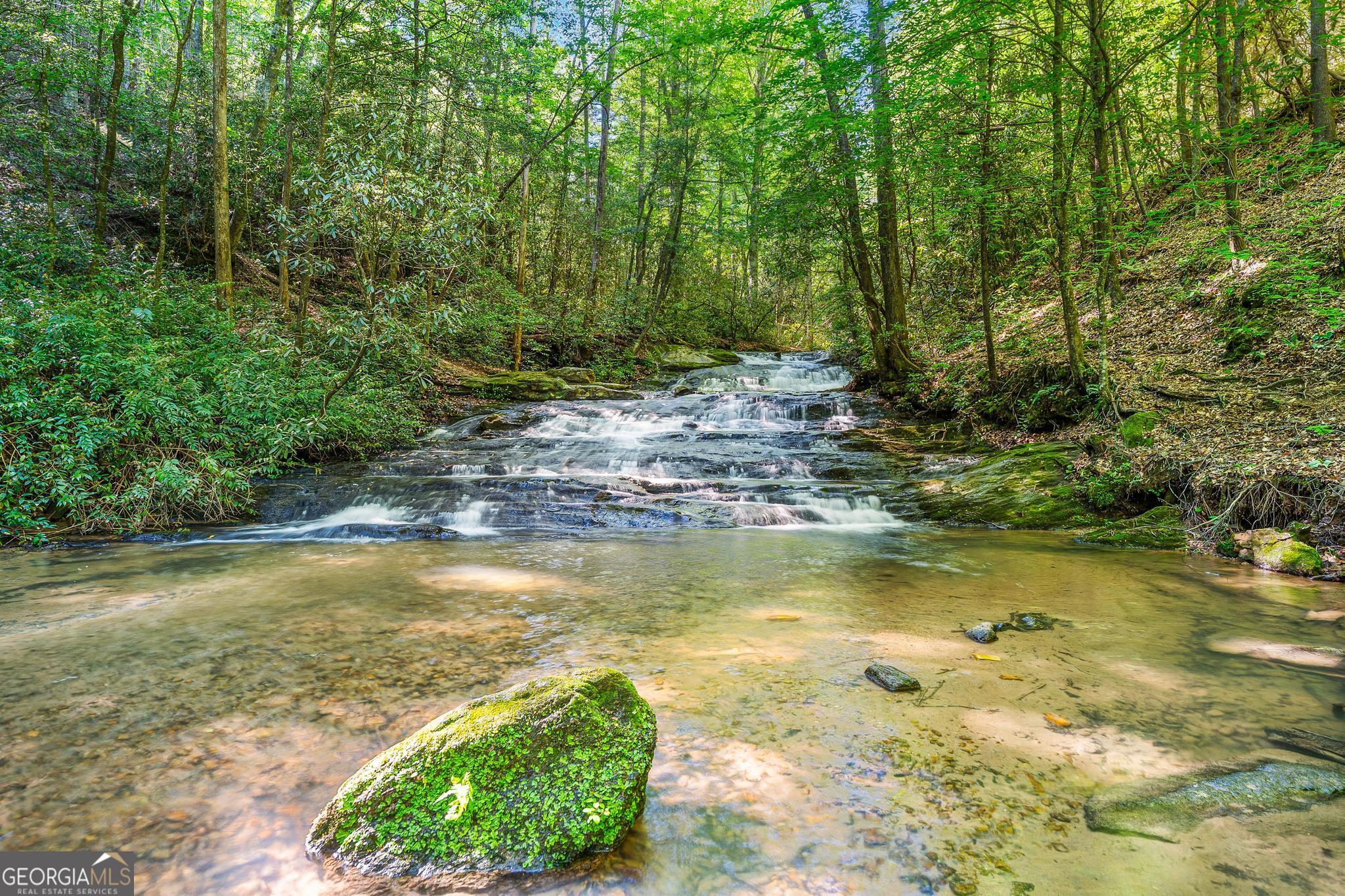 15D Woodbrier Sautee Nacoochee GA 30571