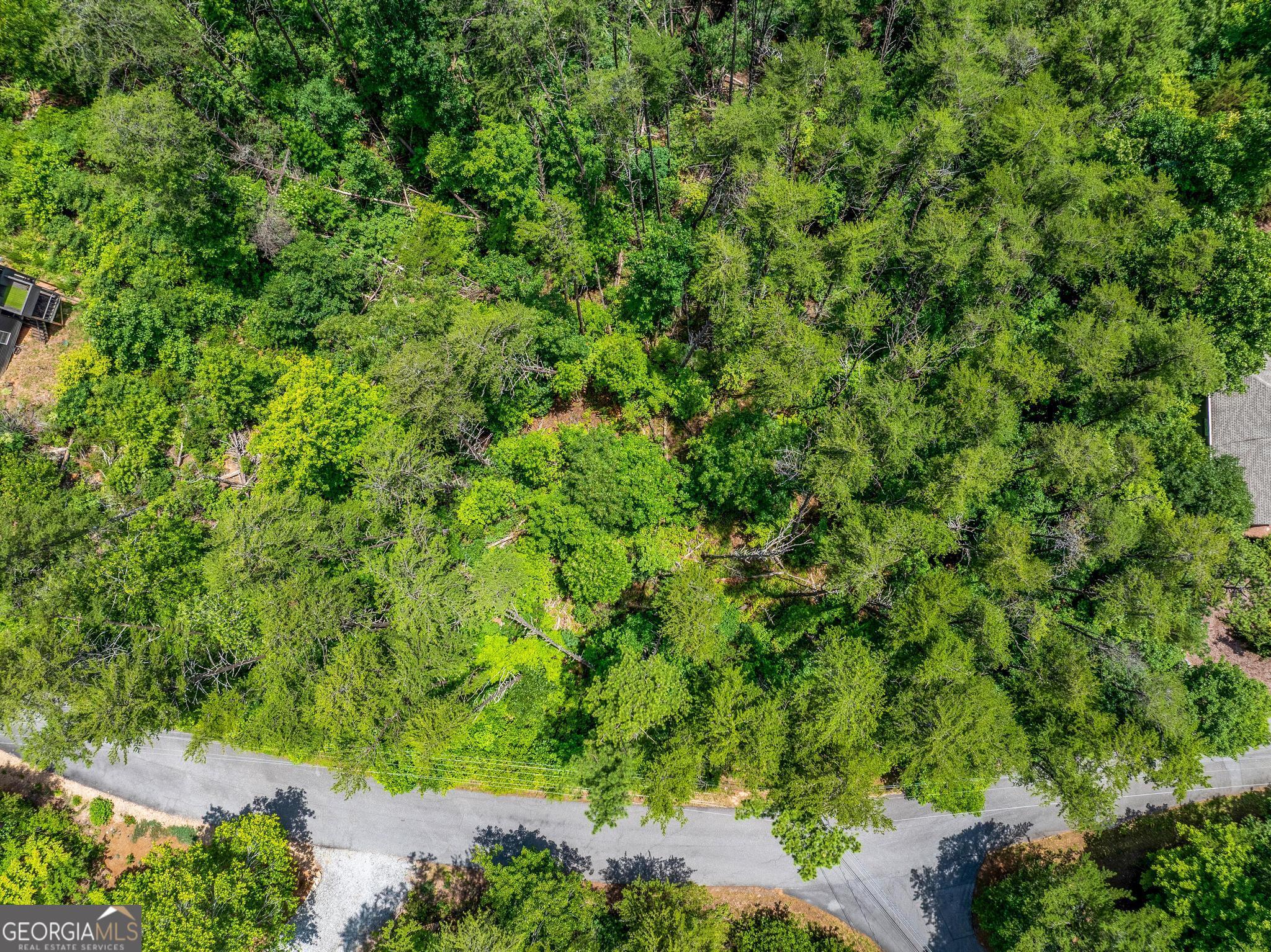 15D Woodbrier Sautee Nacoochee GA 30571
