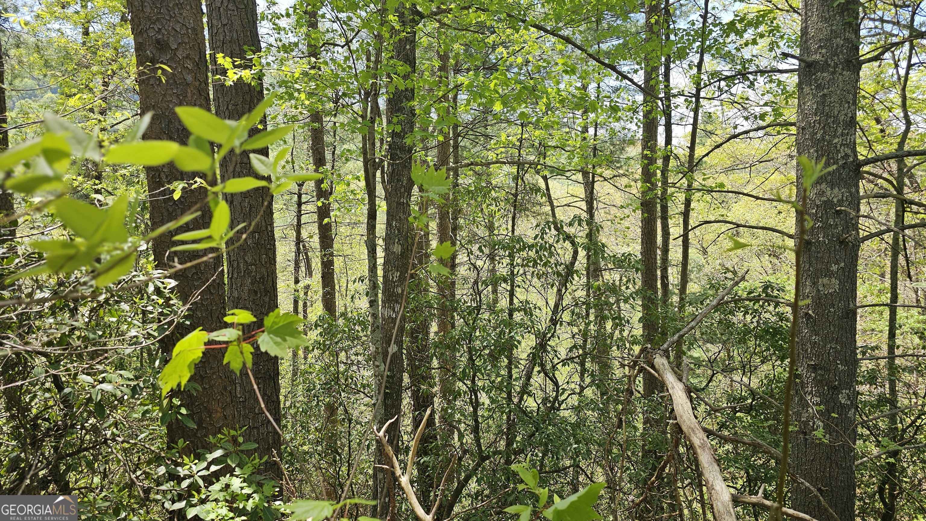 0 Heavenly Circle Clayton GA 30525