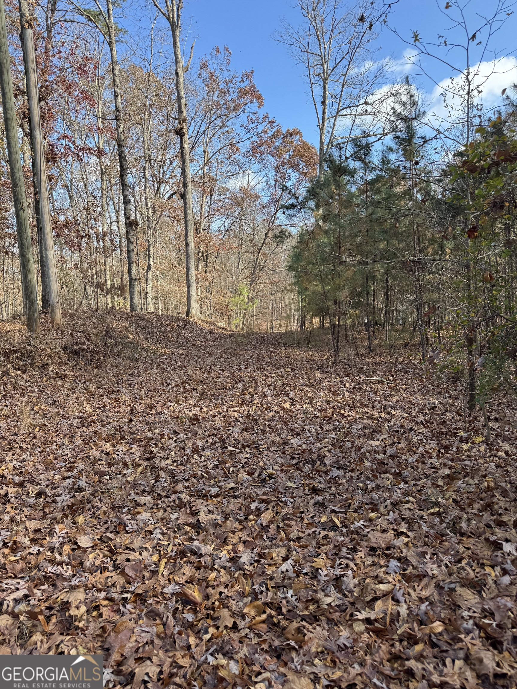 857 Laurel Lane Winder GA 30680