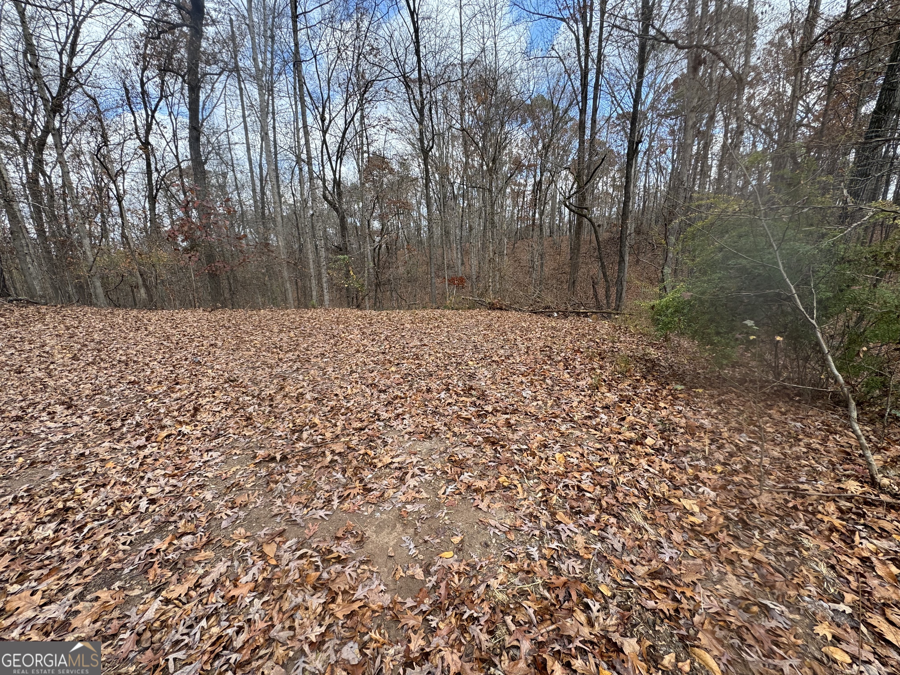 857 Laurel Lane Winder GA 30680