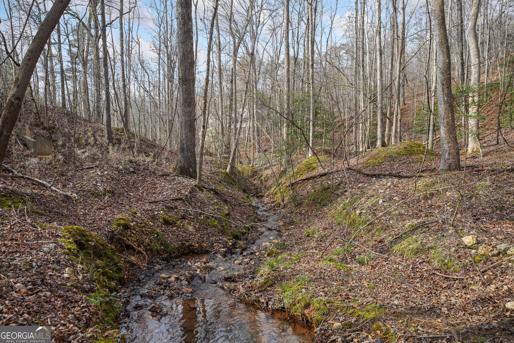 49 Old Stamp Mill Road Dahlonega GA 30533