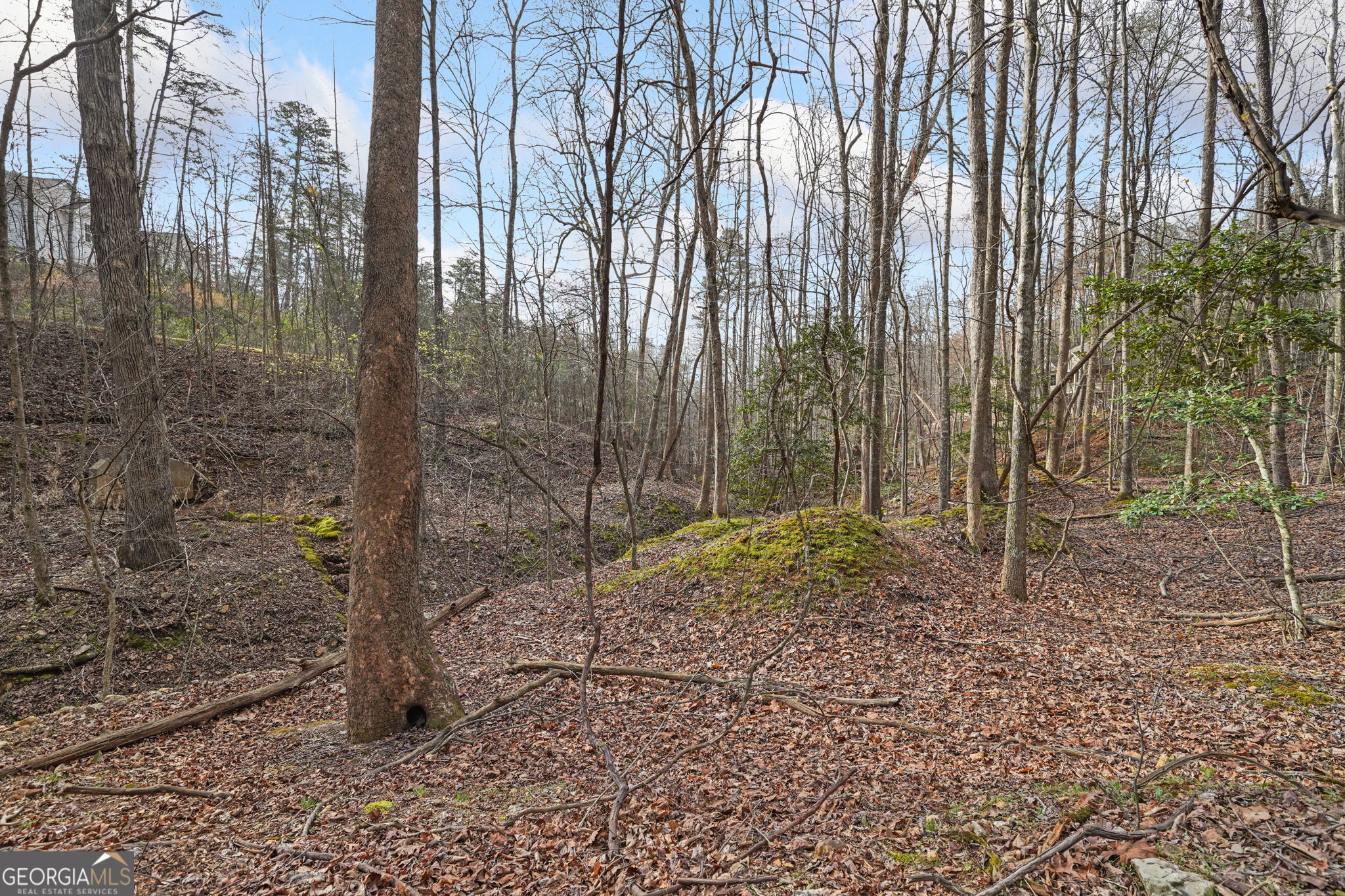 49 Old Stamp Mill Road Dahlonega GA 30533