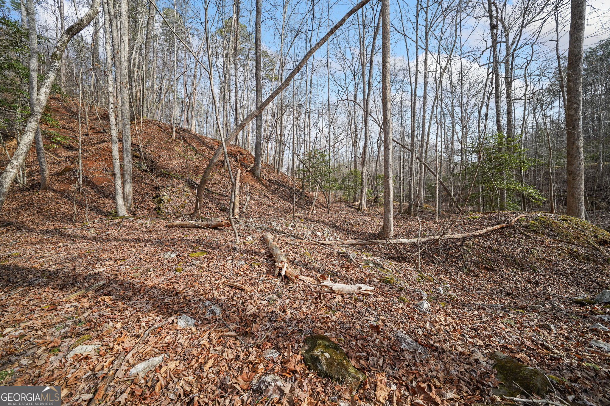 49 Old Stamp Mill Road Dahlonega GA 30533