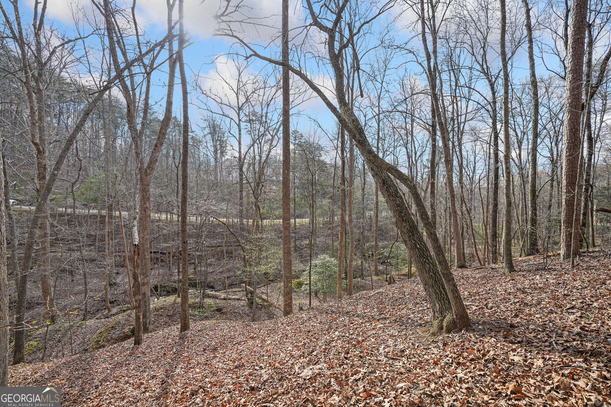 49 Old Stamp Mill Road Dahlonega GA 30533