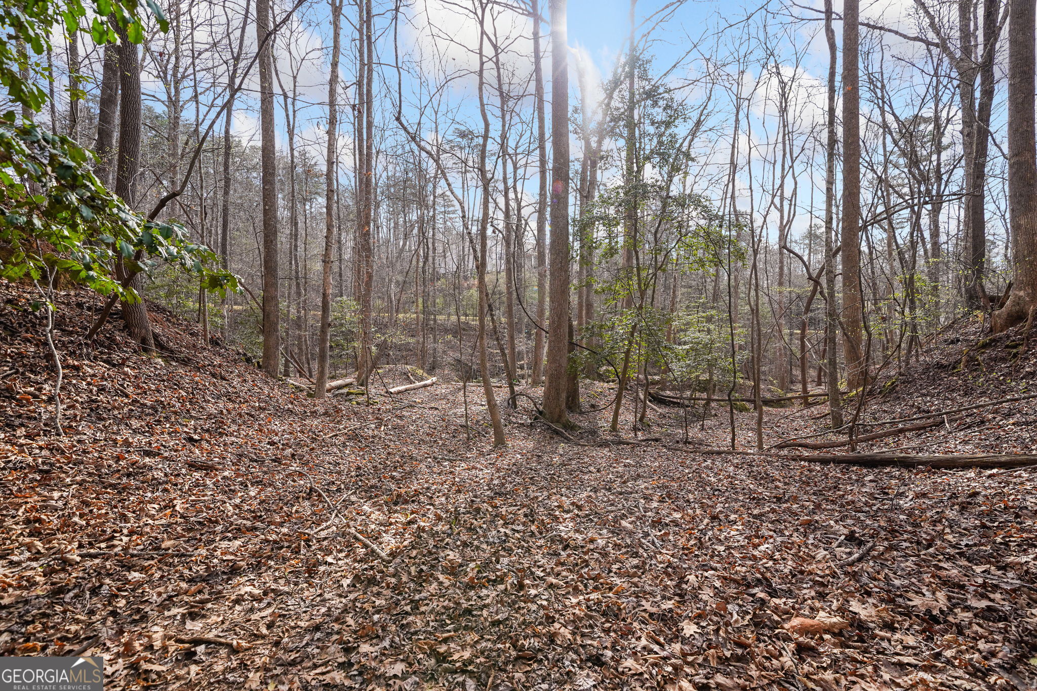 49 Old Stamp Mill Road Dahlonega GA 30533