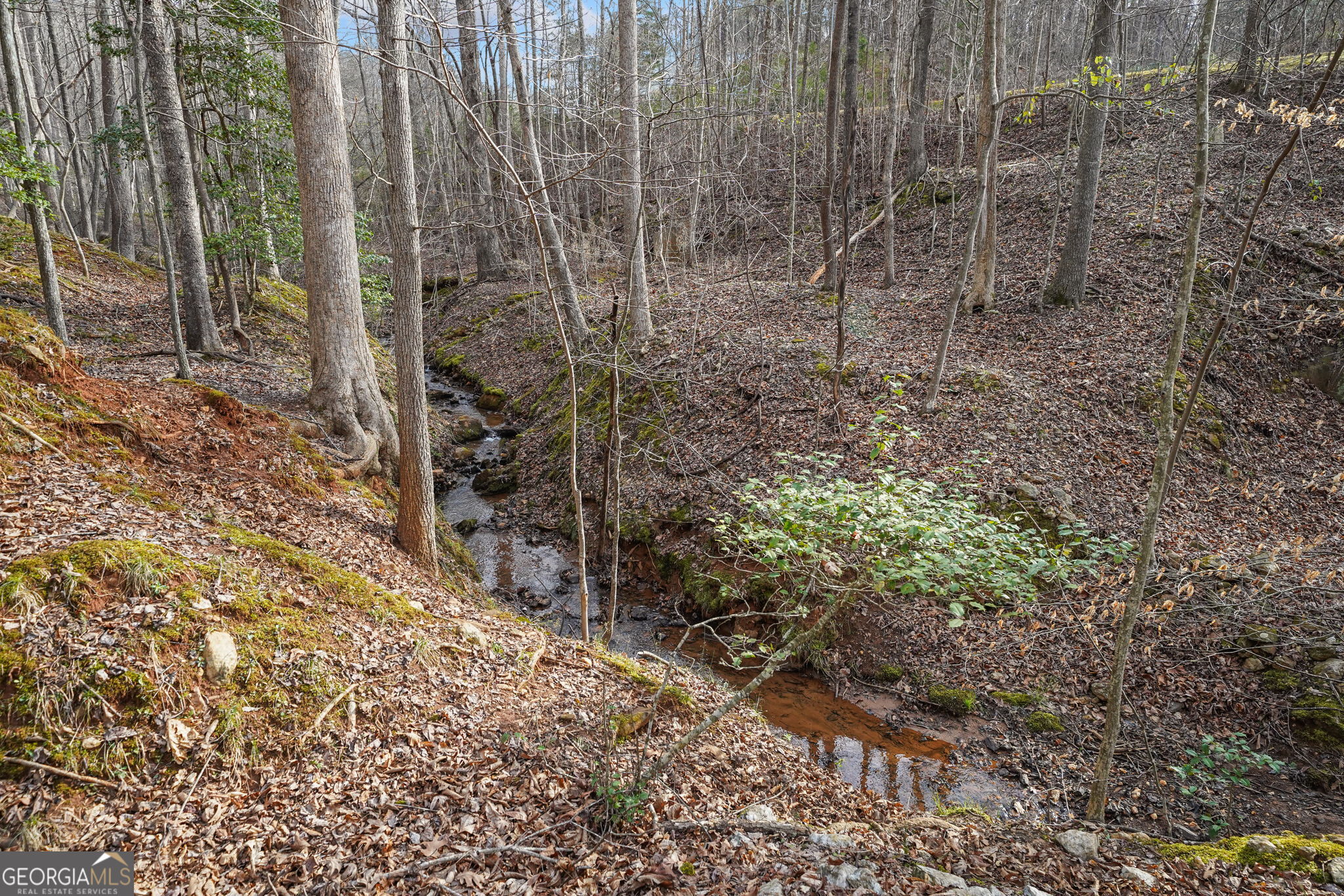 49 Old Stamp Mill Road Dahlonega GA 30533