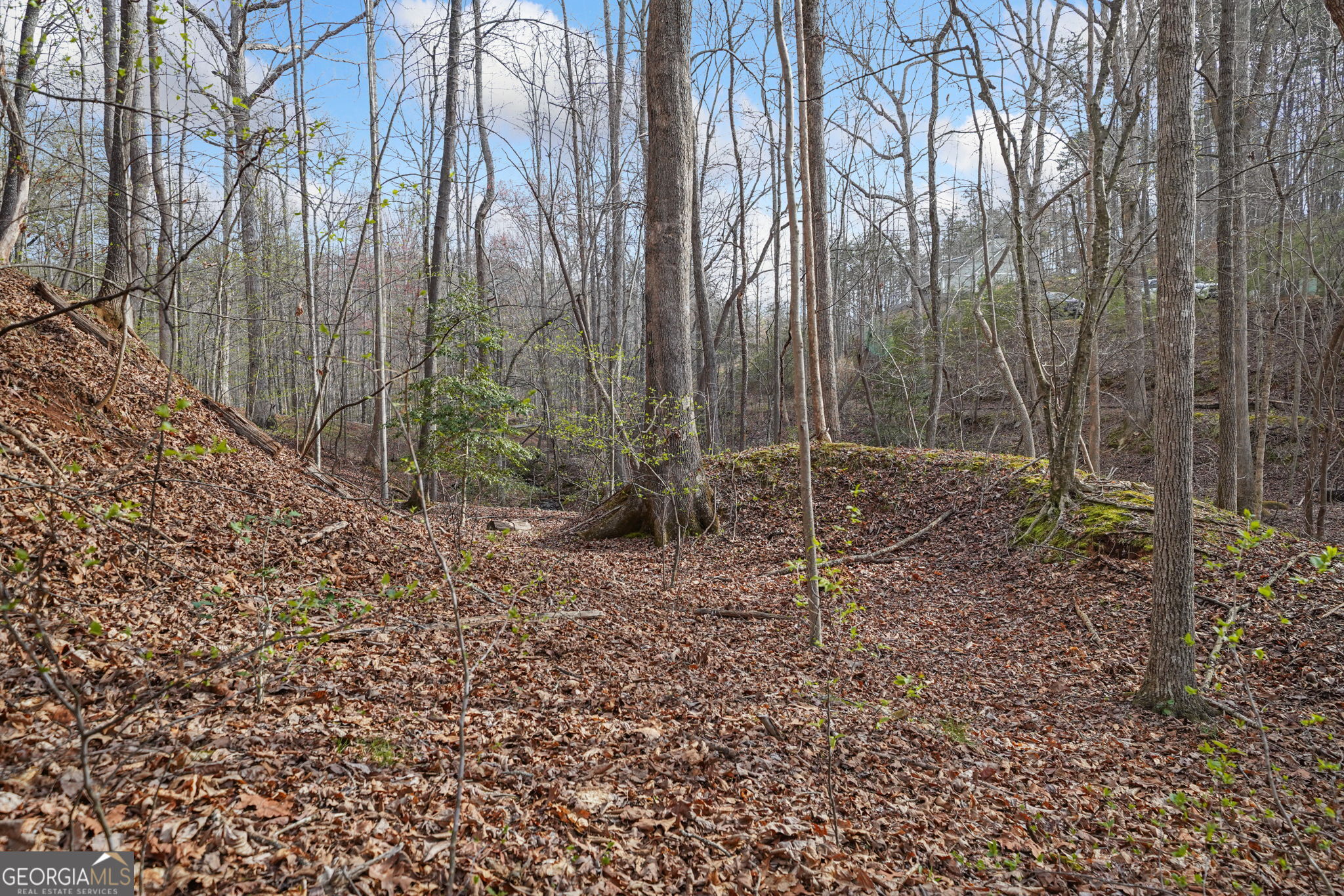 49 Old Stamp Mill Road Dahlonega GA 30533