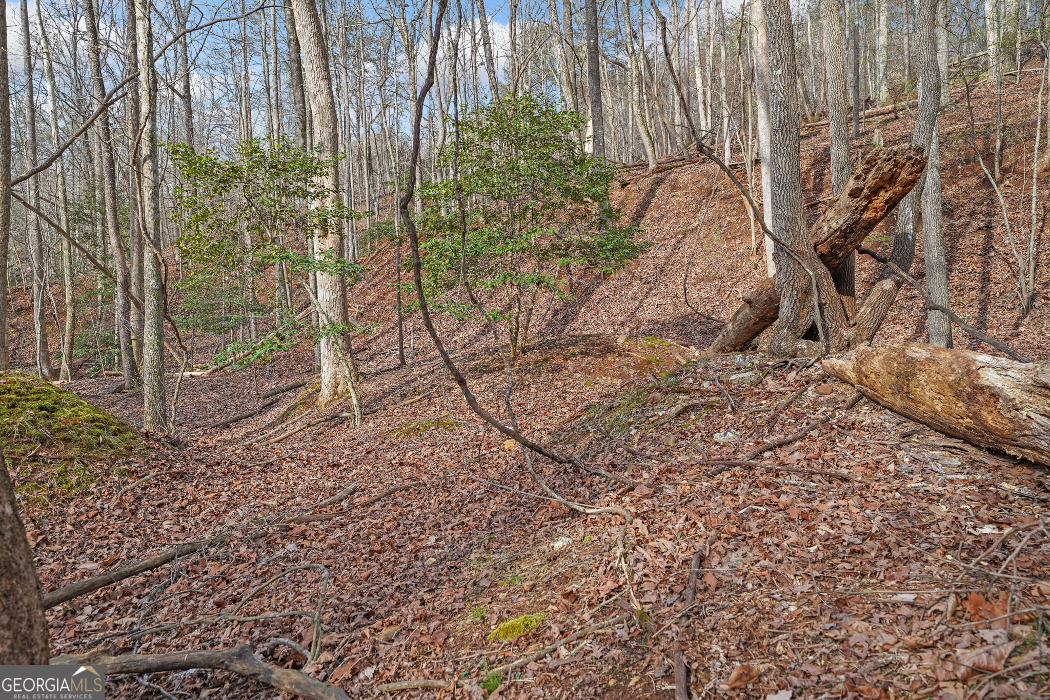 49 Old Stamp Mill Road Dahlonega GA 30533