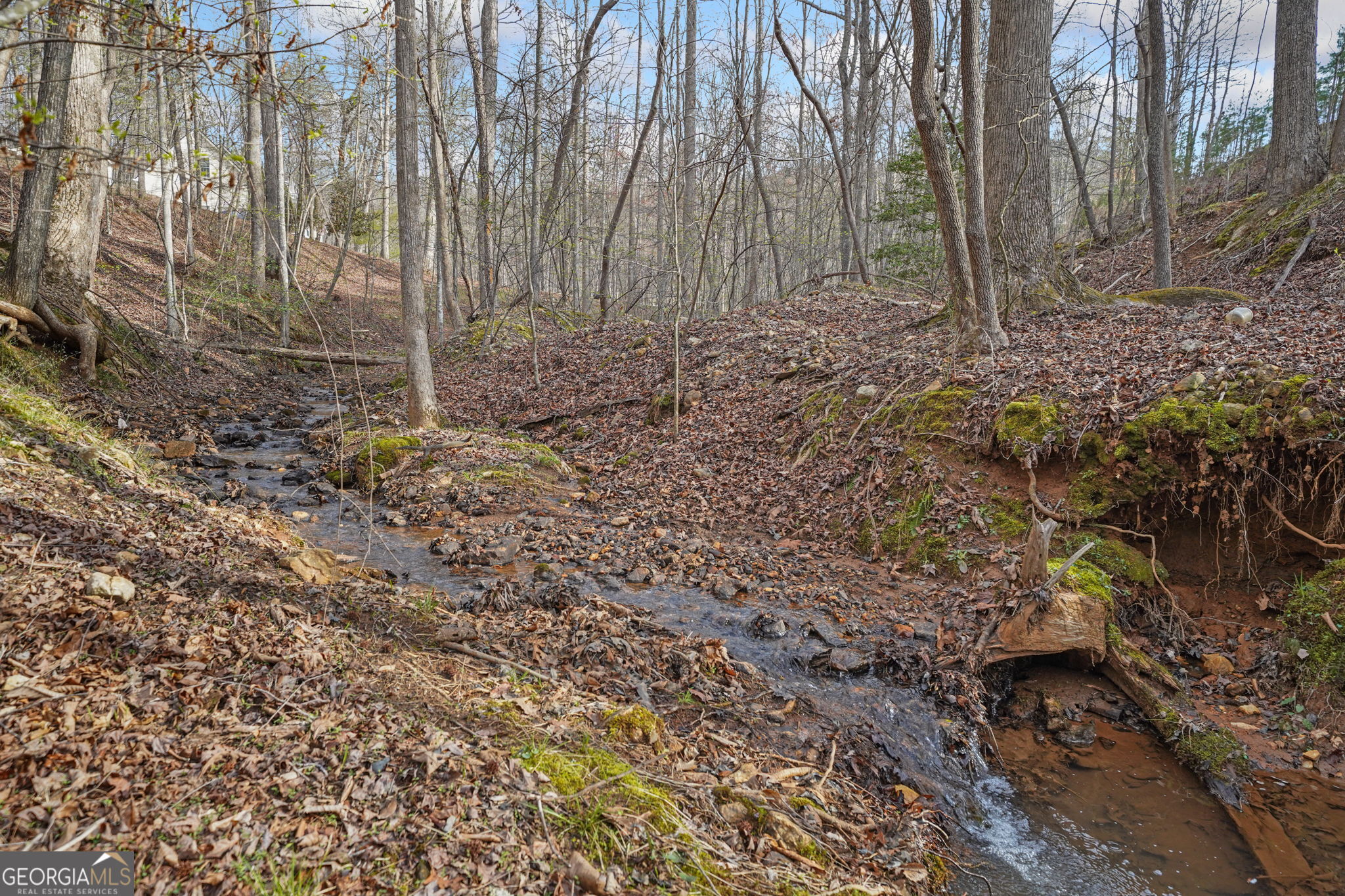 49 Old Stamp Mill Road Dahlonega GA 30533