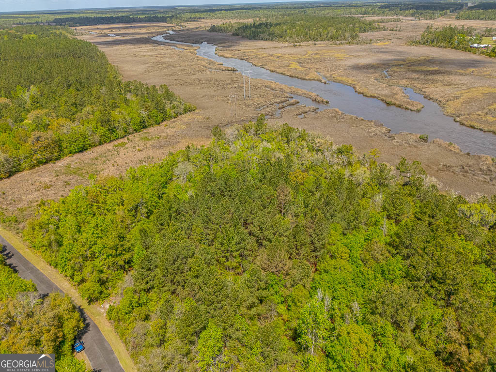 Lot 45 Matthews Launch White Oak GA 31568