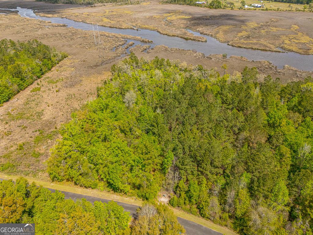Lot 45 Matthews Launch White Oak GA 31568