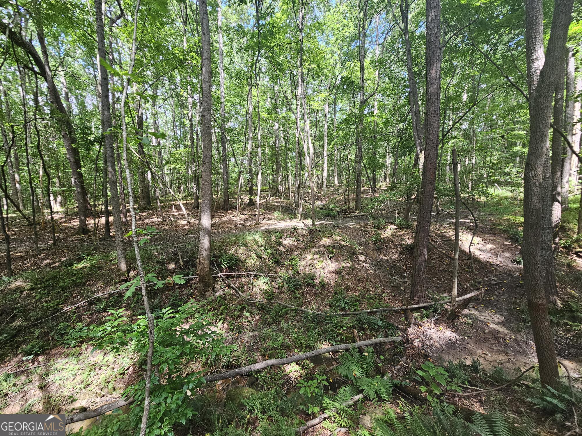 0 Clark Drive Ellenwood GA 30294