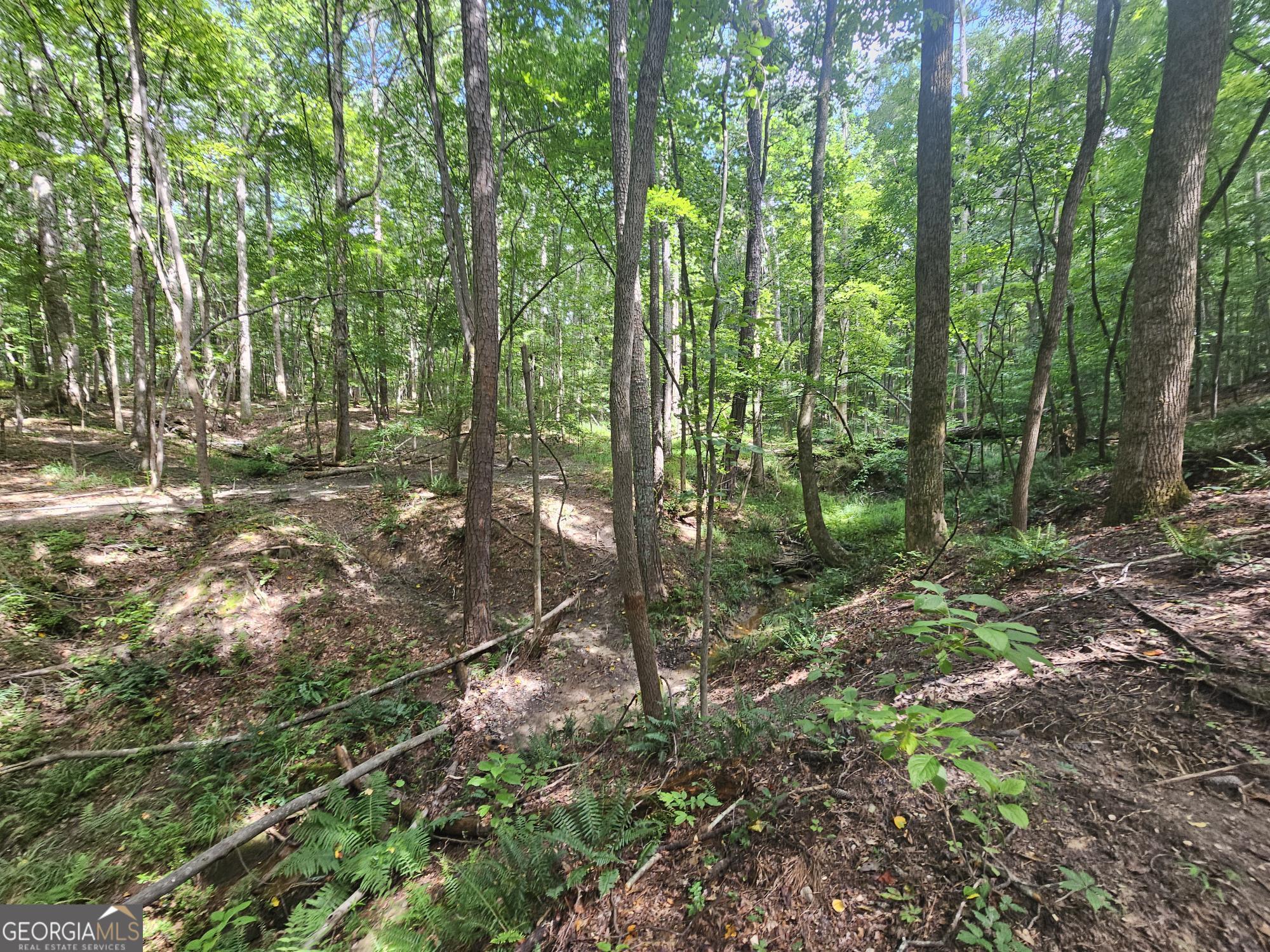 0 Clark Drive Ellenwood GA 30294