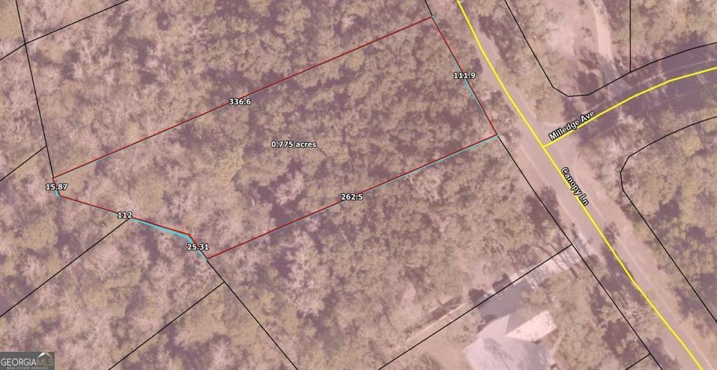 Lot 140 Canopy Lane Waverly GA 31565