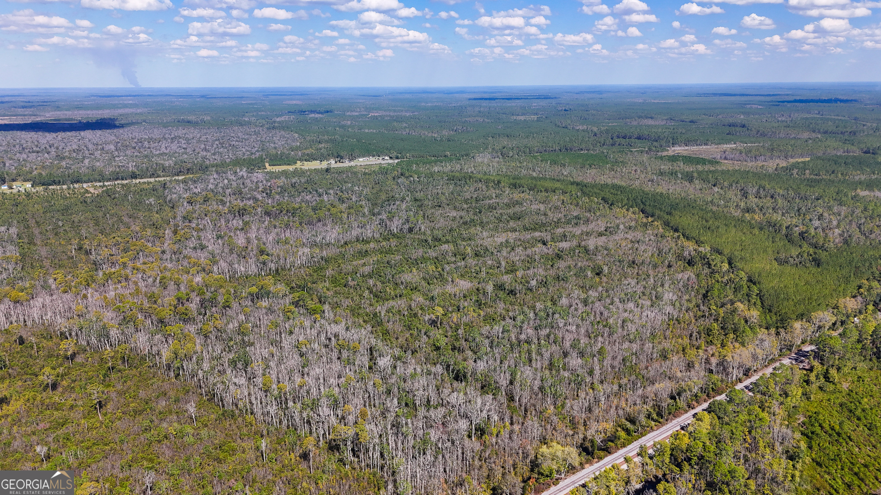 0 Highway 84 Homerville GA 31634