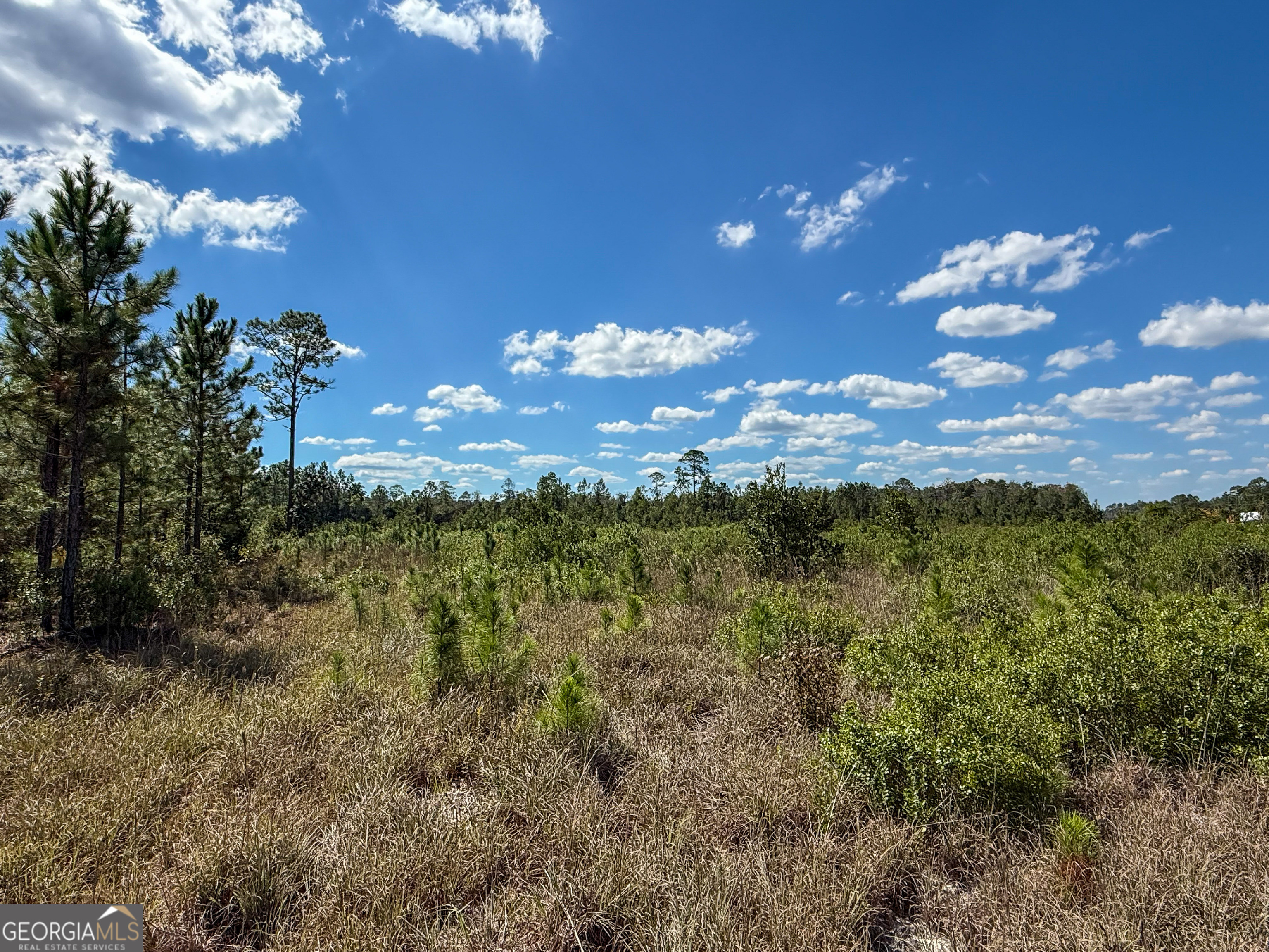 0 Highway 84 Homerville GA 31634
