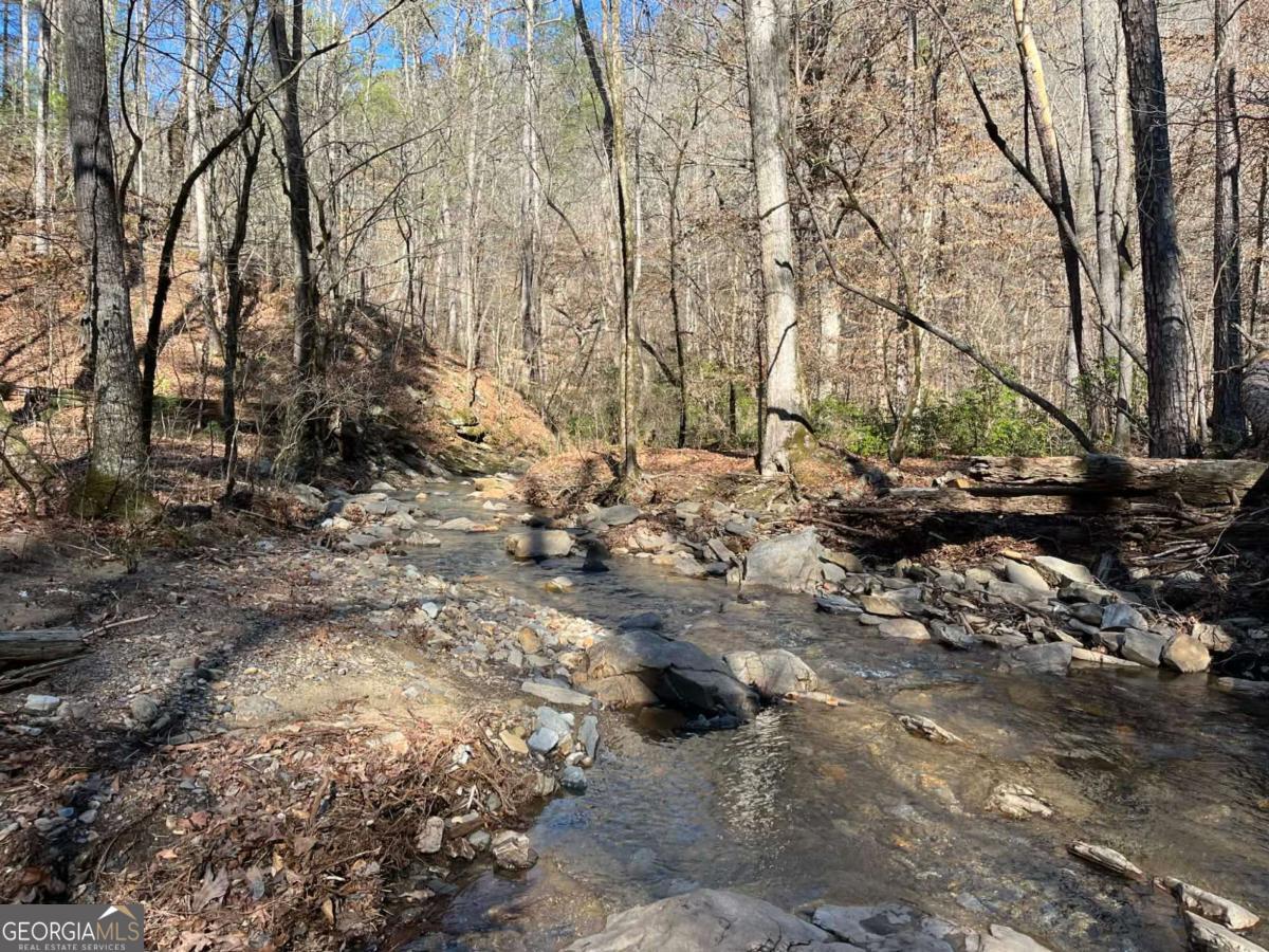 1769 Longbranch Drive Ranger GA 30734