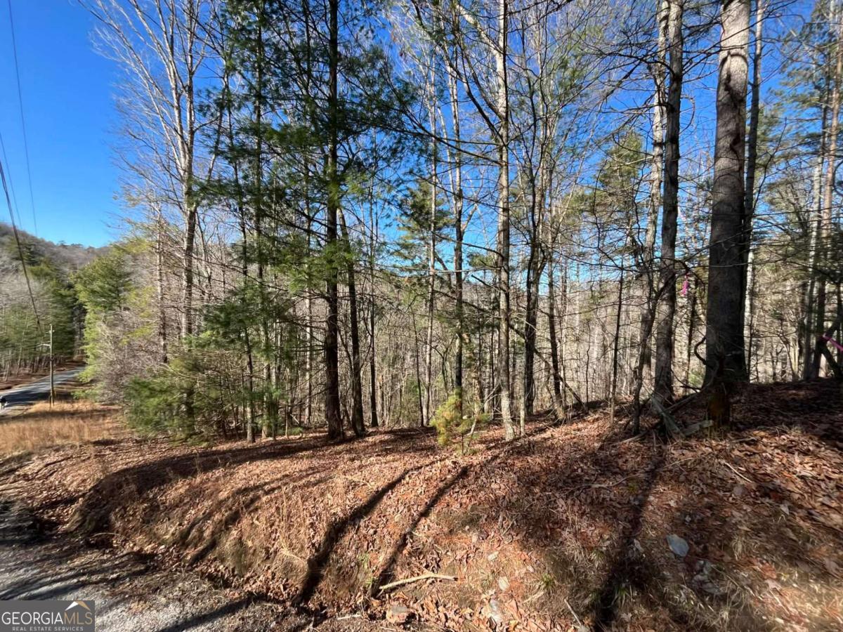 1769 Longbranch Drive Ranger GA 30734