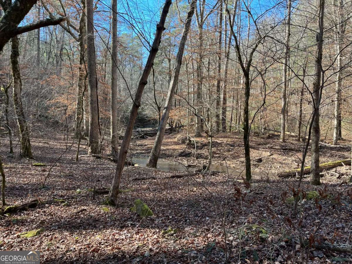 1769 Longbranch Drive Ranger GA 30734