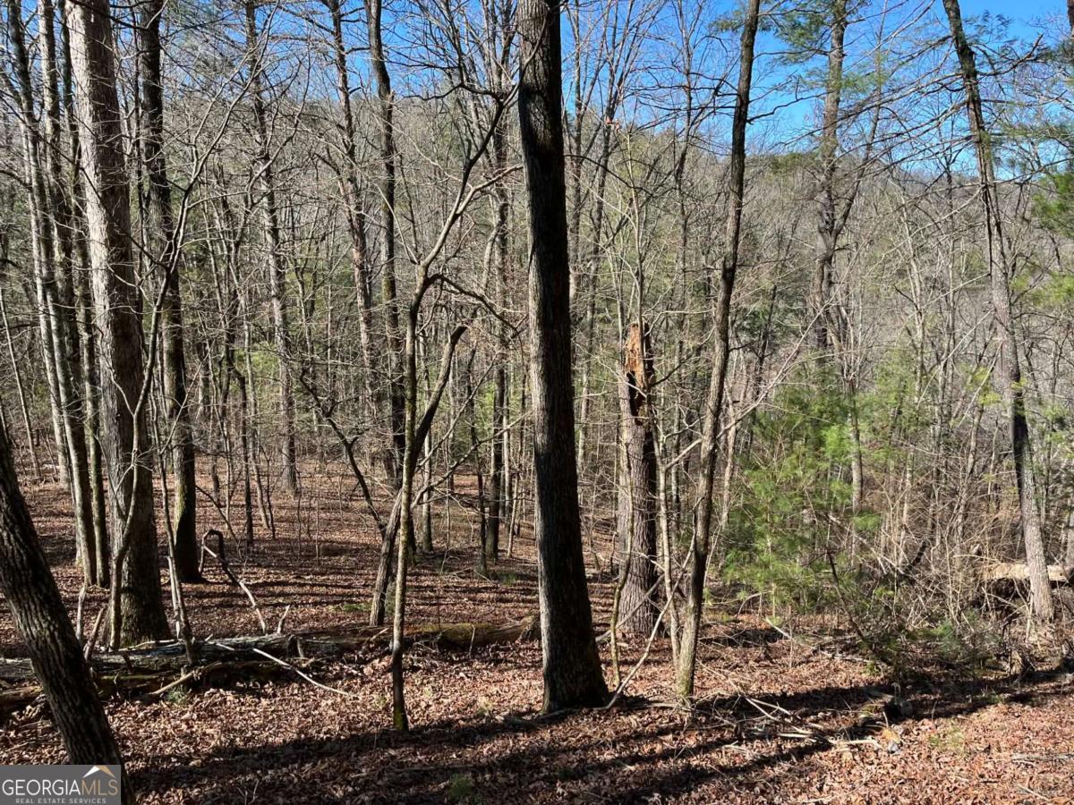 1769 Longbranch Drive Ranger GA 30734