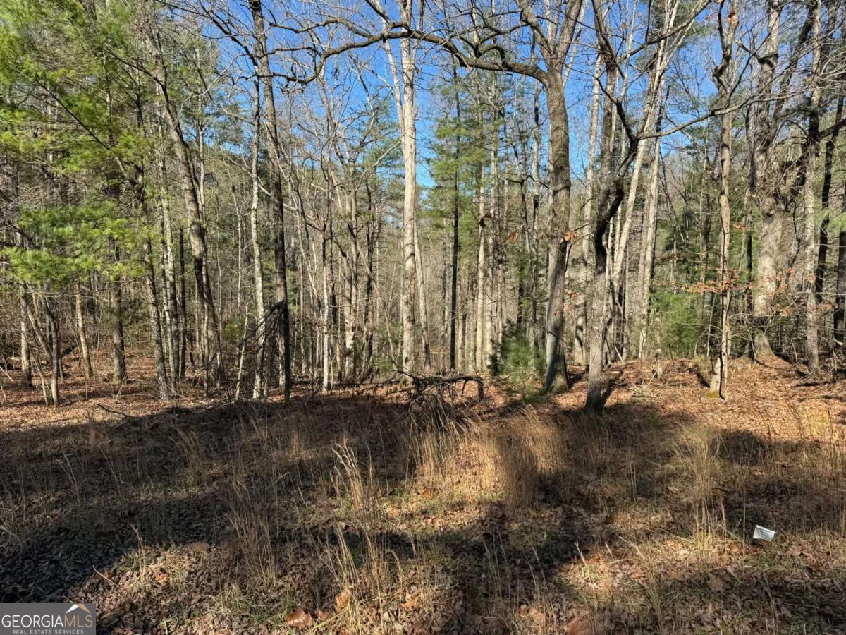 1769 Longbranch Drive Ranger GA 30734