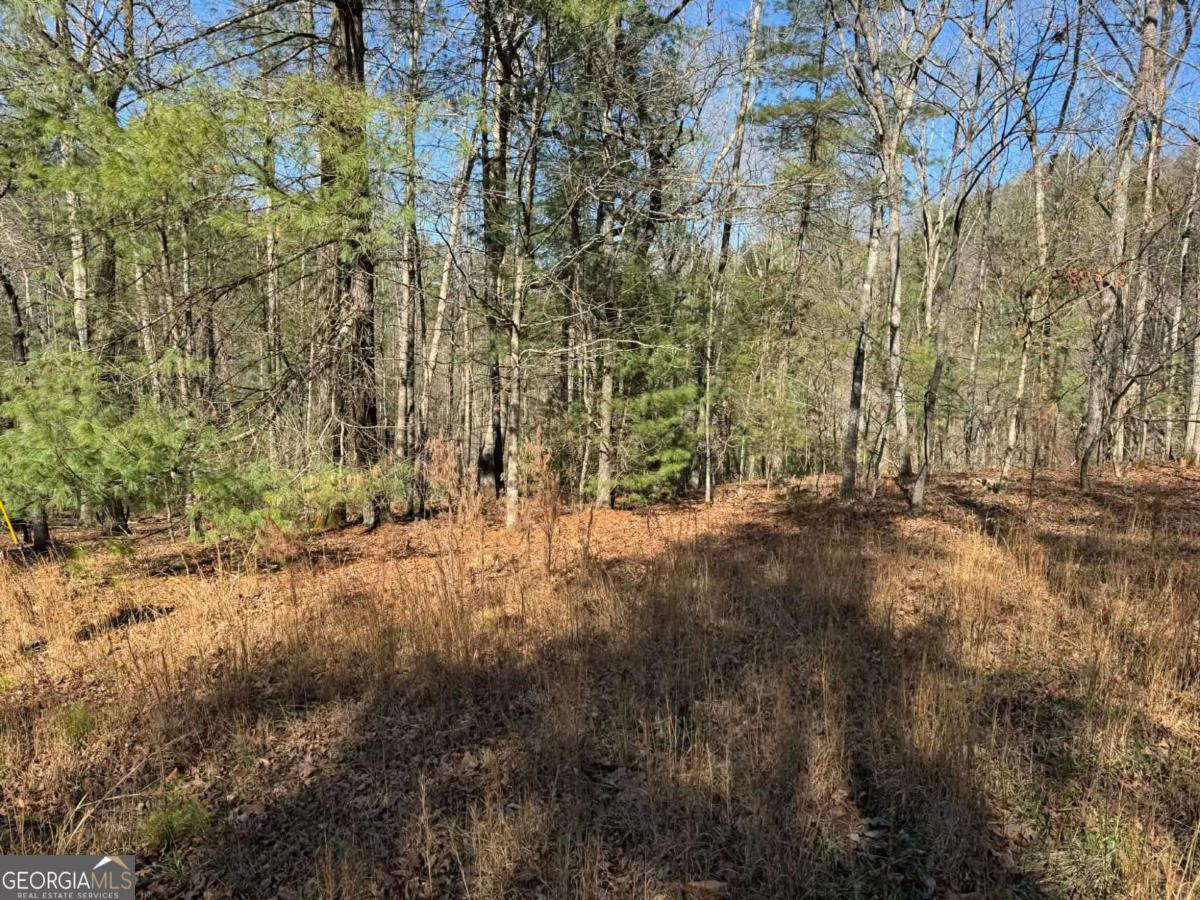 1769 Longbranch Drive Ranger GA 30734