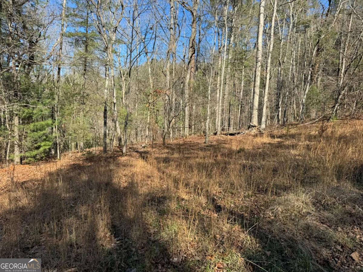 1769 Longbranch Drive Ranger GA 30734