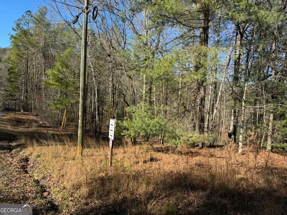 1769 Longbranch Drive Ranger GA 30734