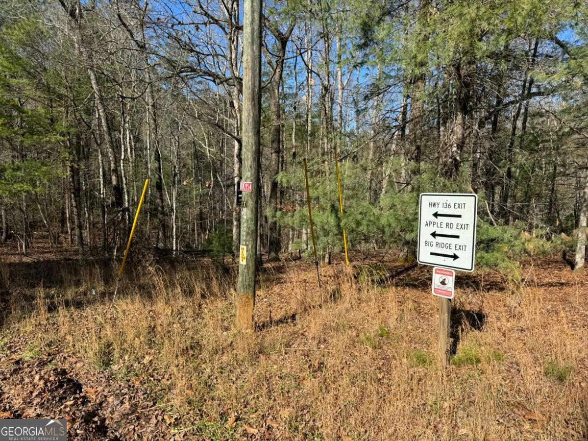 1769 Longbranch Drive Ranger GA 30734