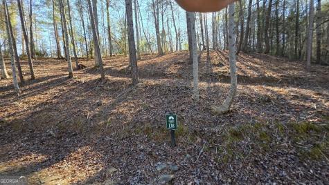 138 Red Oak Trail East Ellijay GA 30540