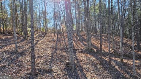 138 Red Oak Trail East Ellijay GA 30540