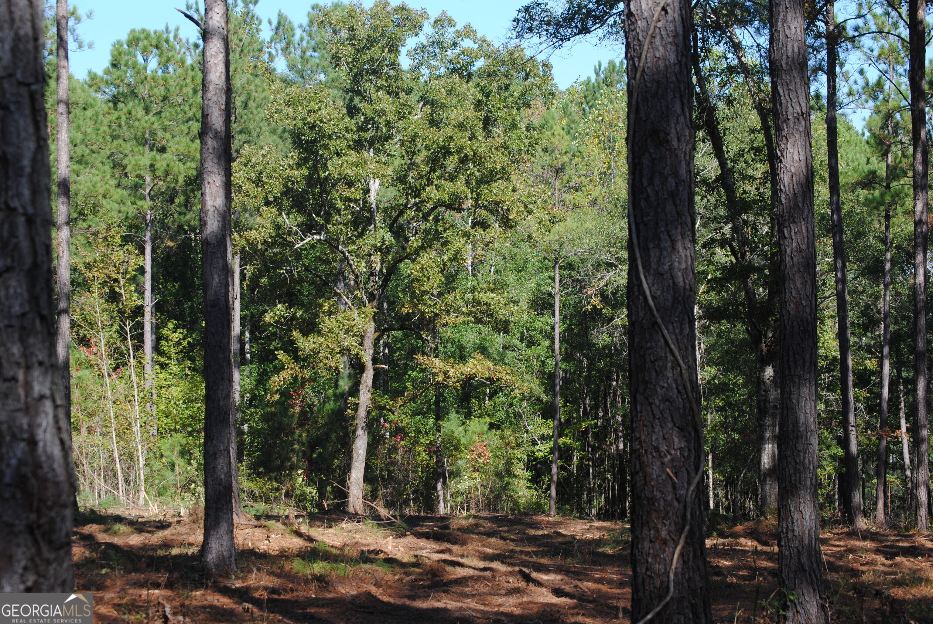 151 W Drummond West Point GA 31833