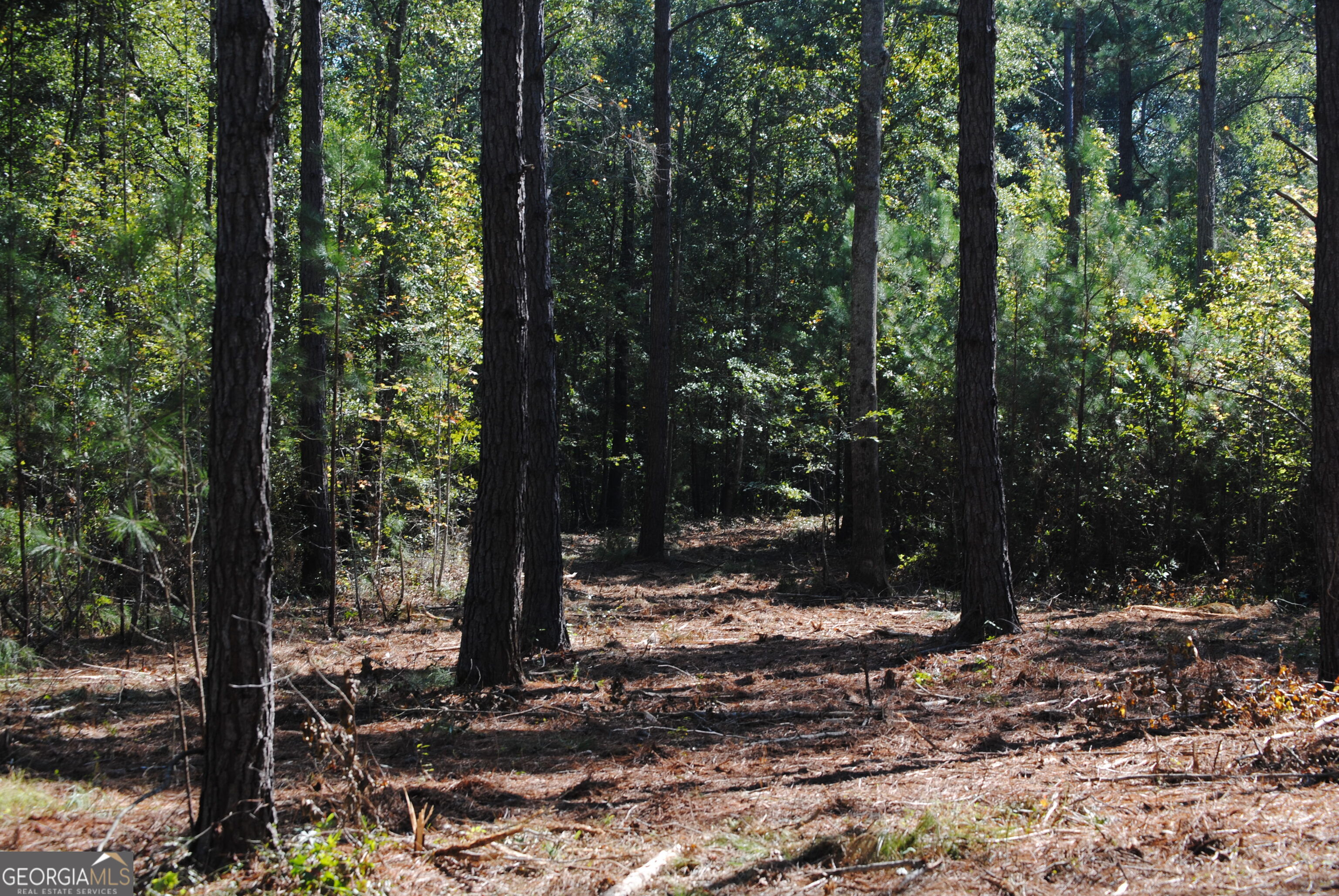 151 W Drummond West Point GA 31833