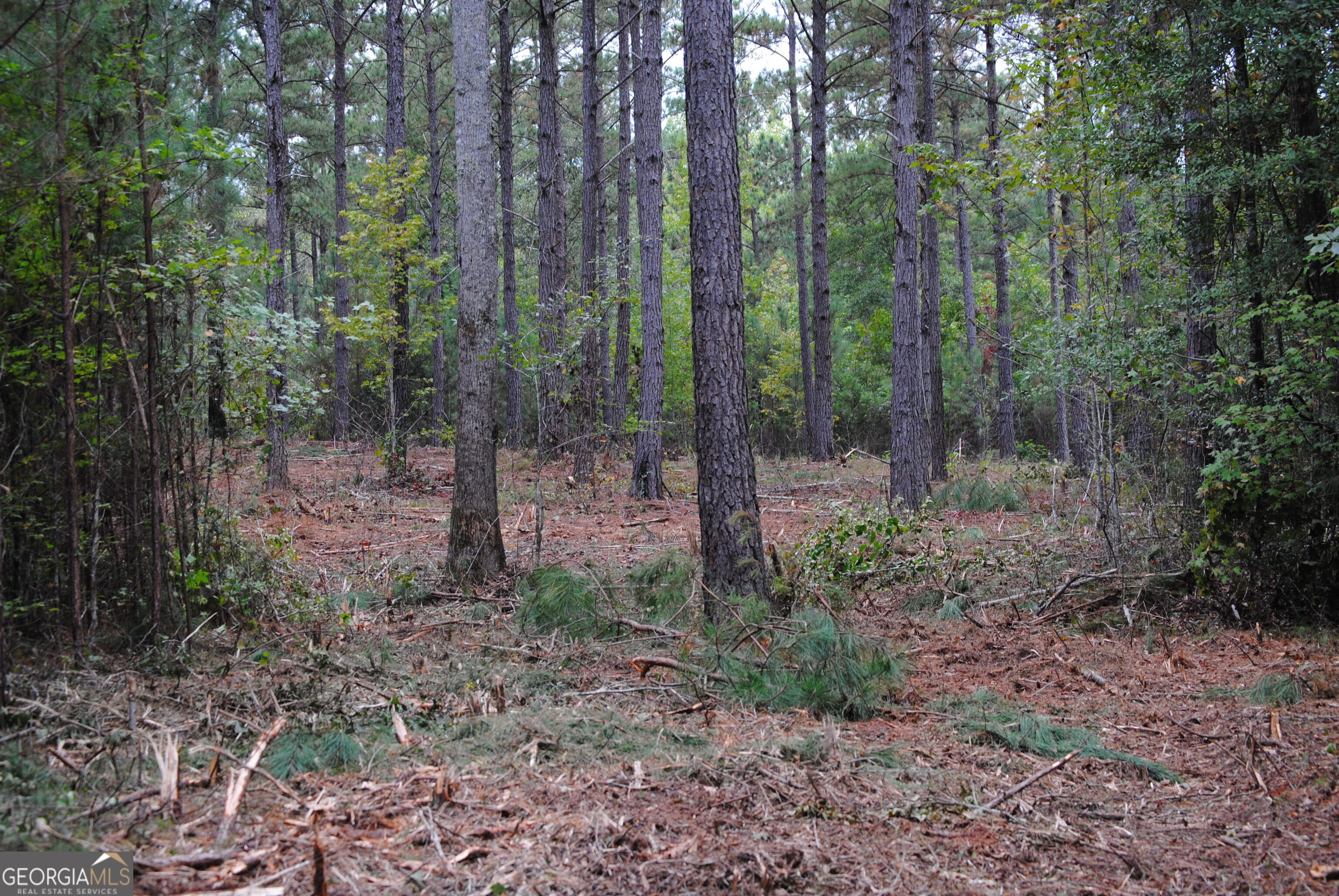 151 W Drummond West Point GA 31833