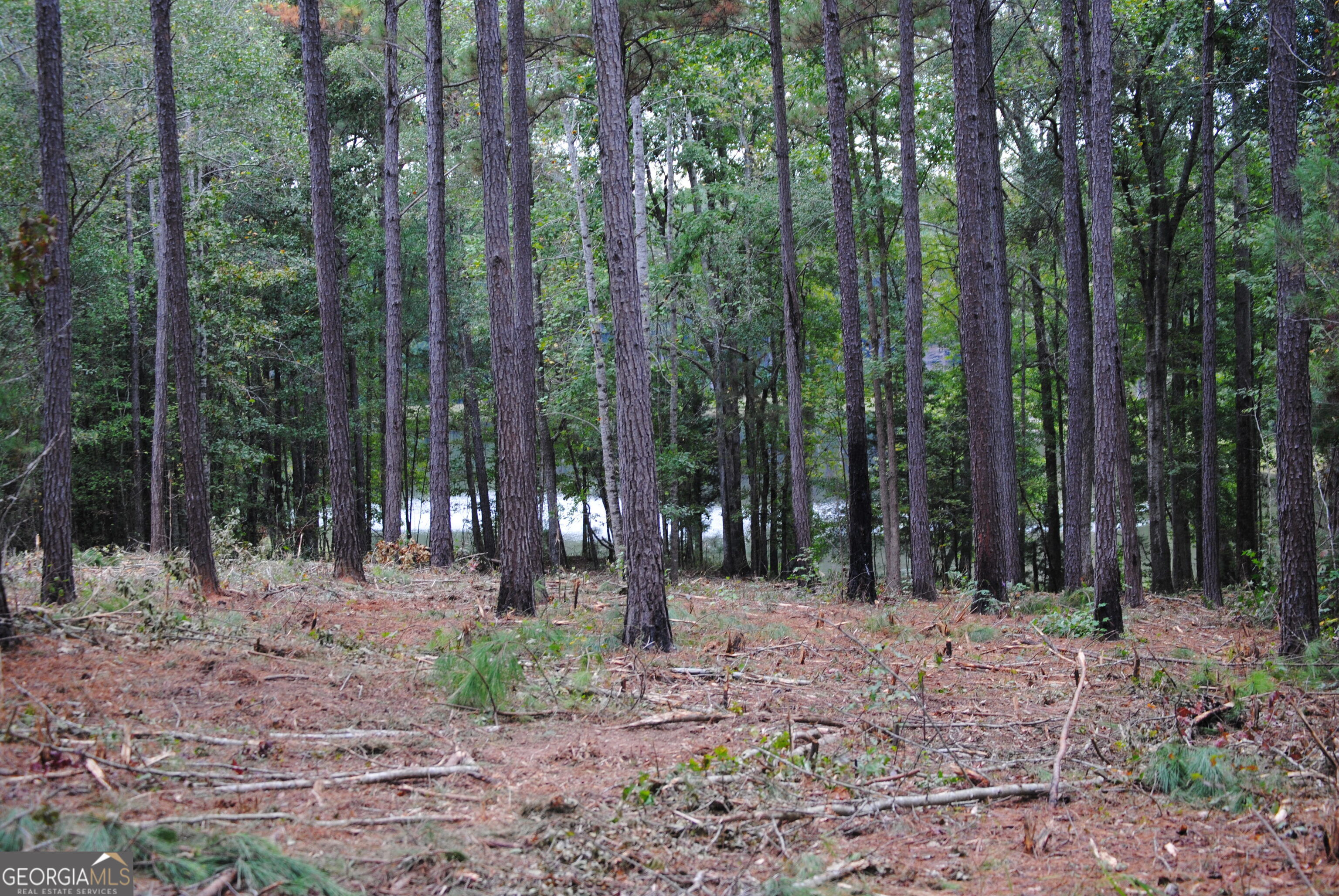 151 W Drummond West Point GA 31833