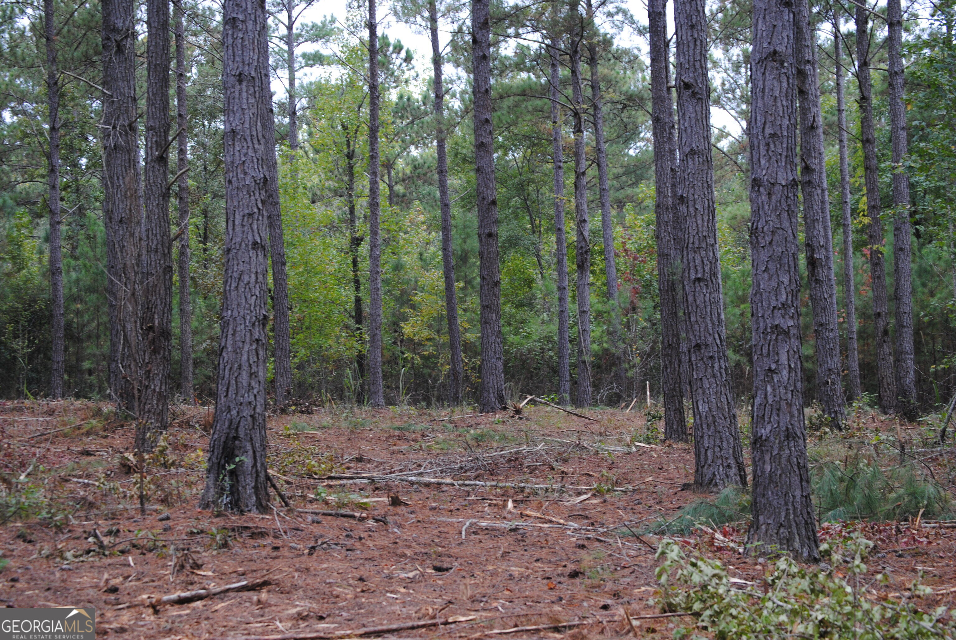 151 W Drummond West Point GA 31833