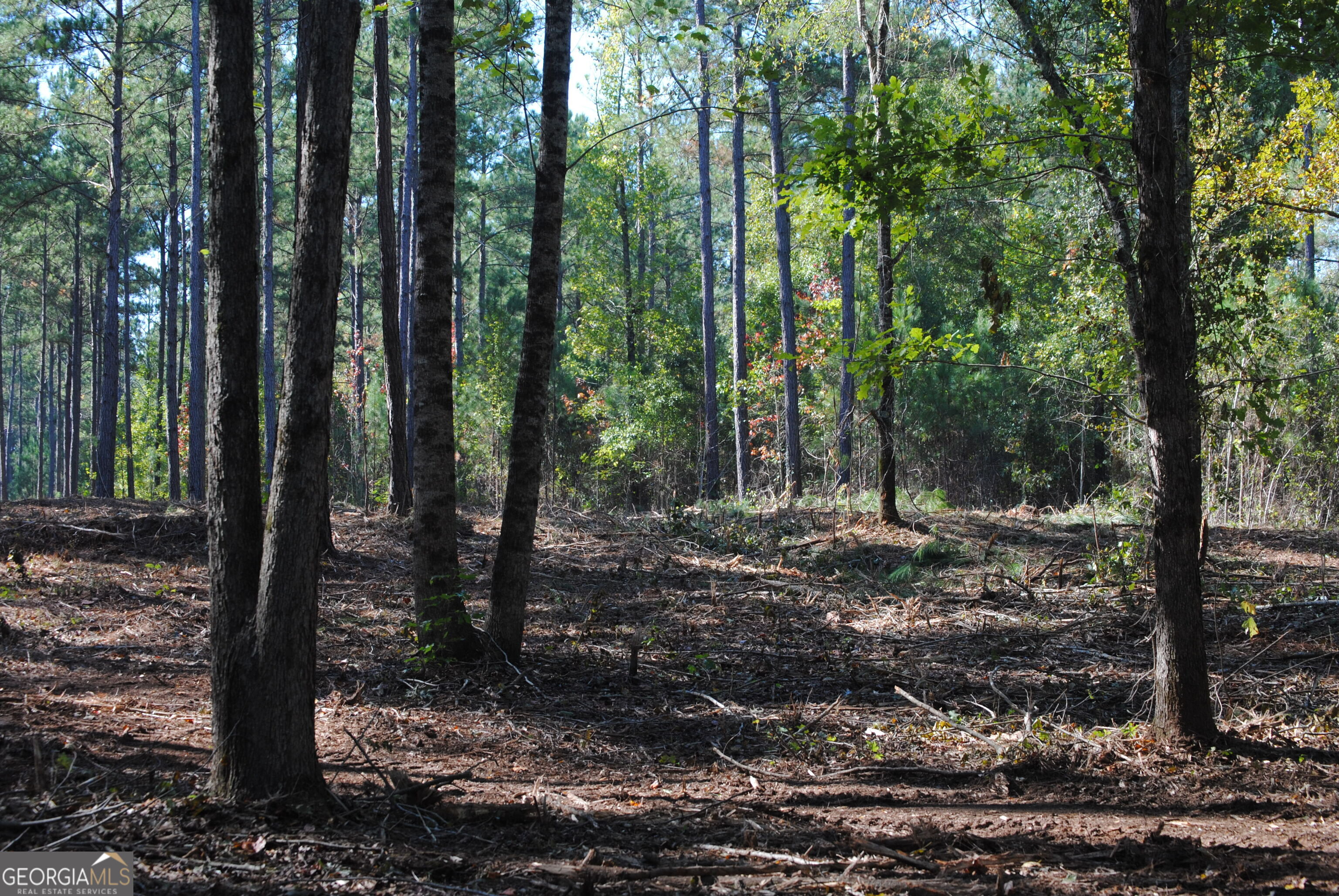 151 W Drummond West Point GA 31833