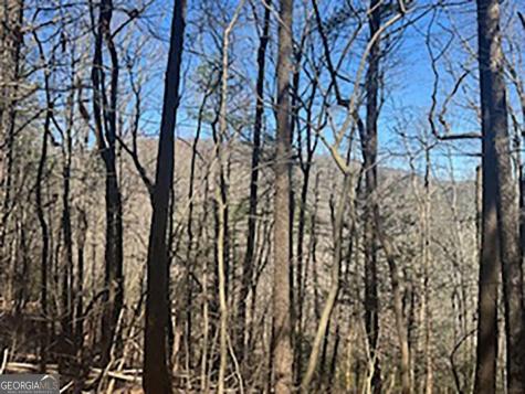 Lot 14 Butler Creek Road Cherry Log GA 30522