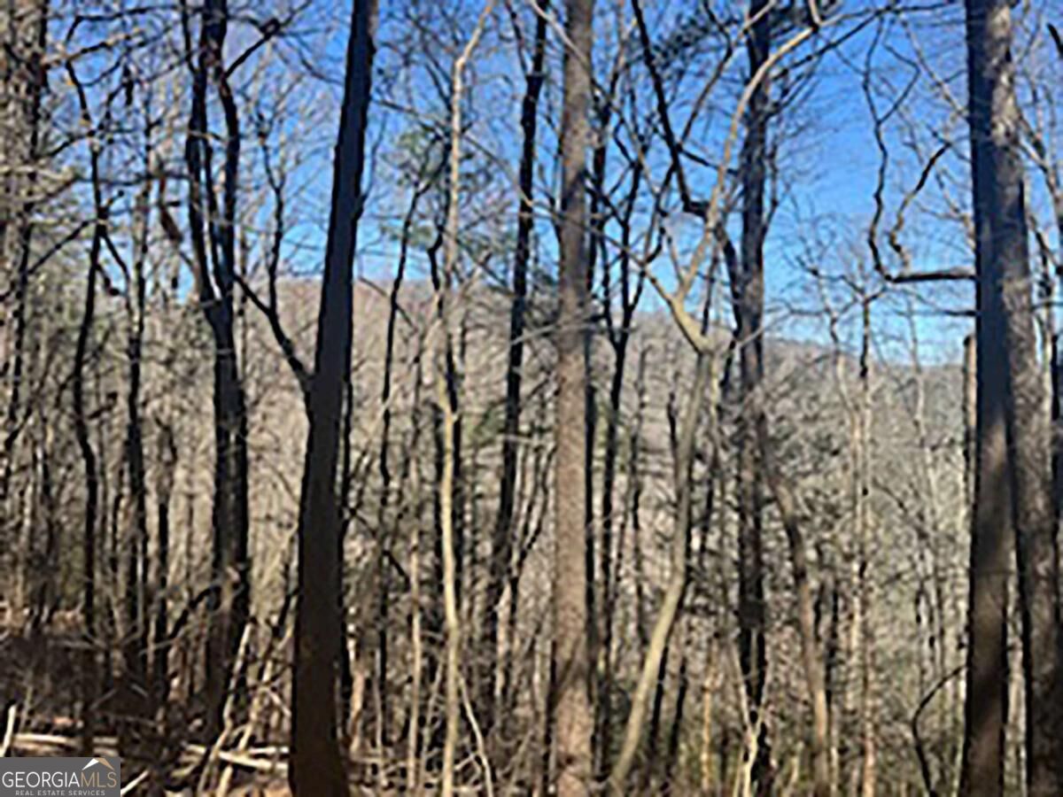 Lot 14 Butler Creek Road Cherry Log GA 30522