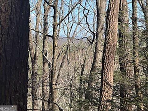 Lot 14 Butler Creek Road Cherry Log GA 30522