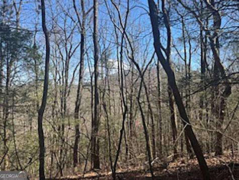Lot 14 Butler Creek Road Cherry Log GA 30522