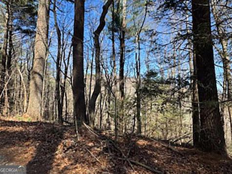 Lot 14 Butler Creek Road Cherry Log GA 30522
