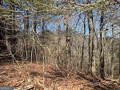 Lot 14 Butler Creek Road Cherry Log GA 30522