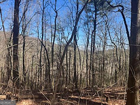 Lot 14 Butler Creek Road Cherry Log GA 30522