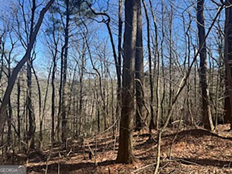 Lot 14 Butler Creek Road Cherry Log GA 30522