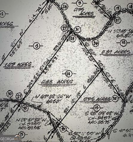 Lot 14 Butler Creek Road Cherry Log GA 30522