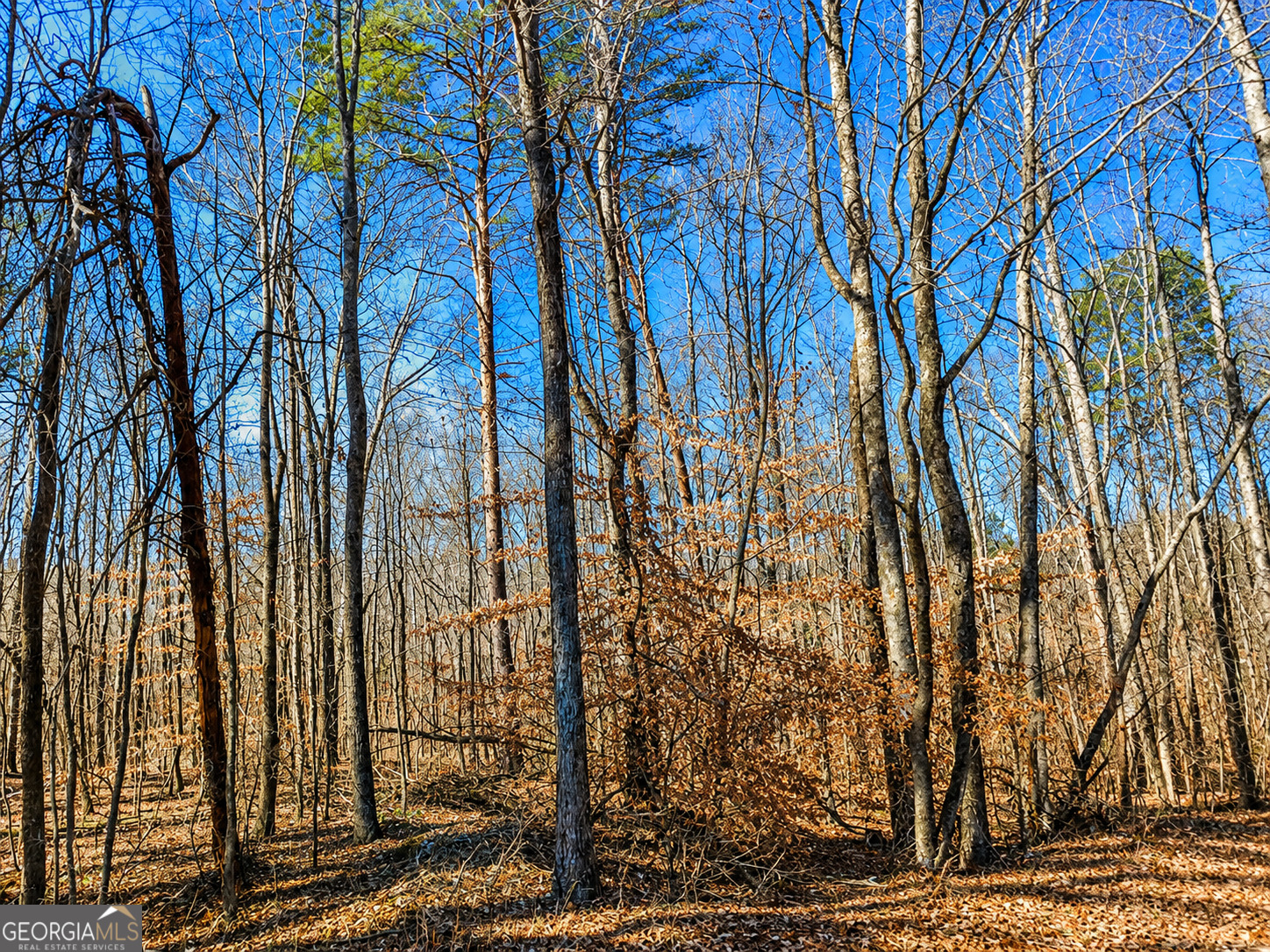 2 Acres Pettit Road Jasper GA 30143