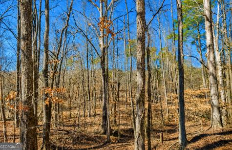2 Acres Pettit Road Jasper GA 30143